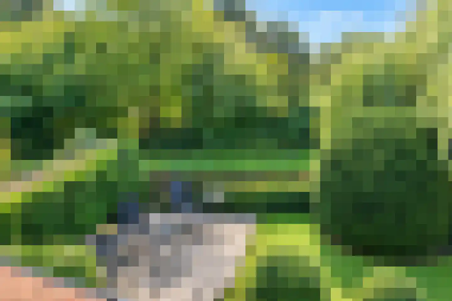Zalm 54 Ridderkerk thumbnail 53