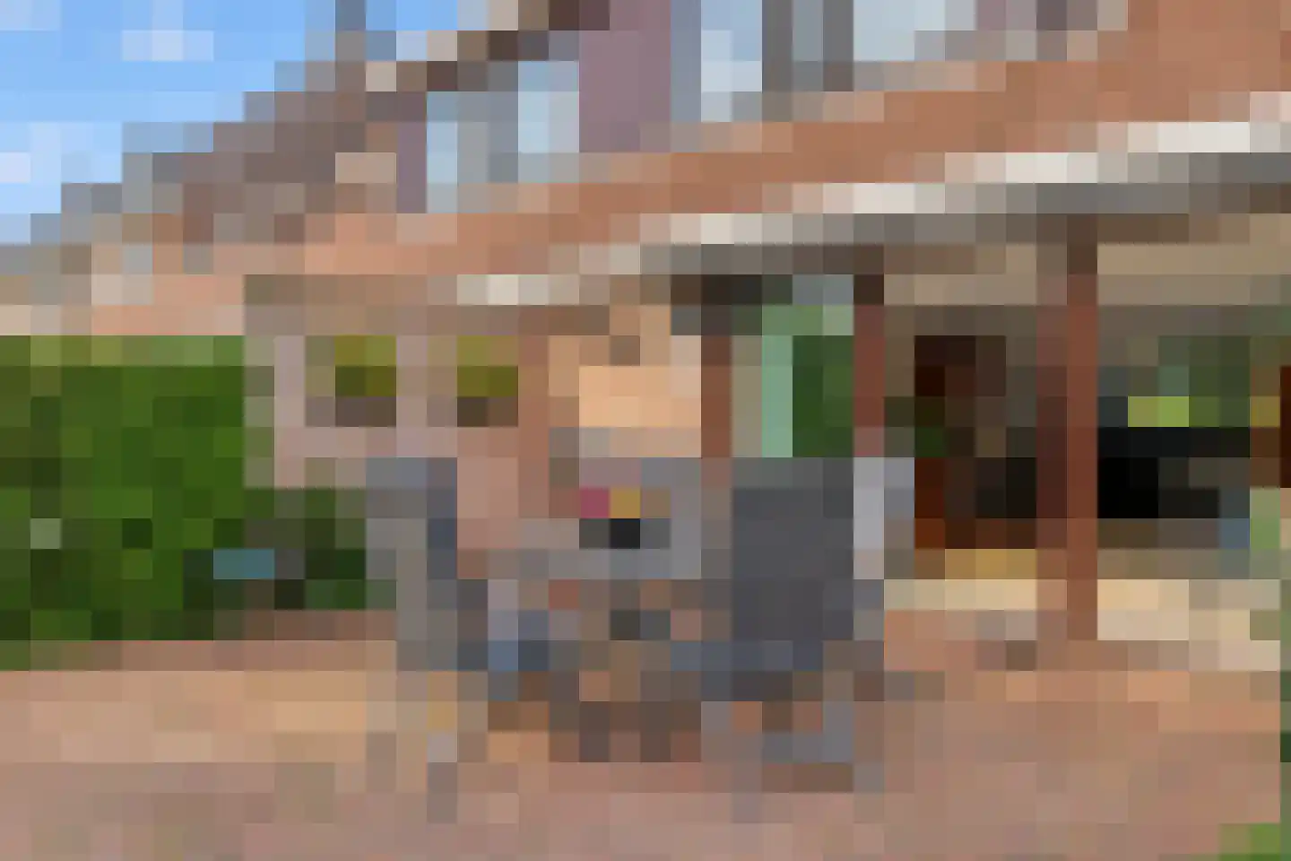 Zalm 54 Ridderkerk thumbnail 54