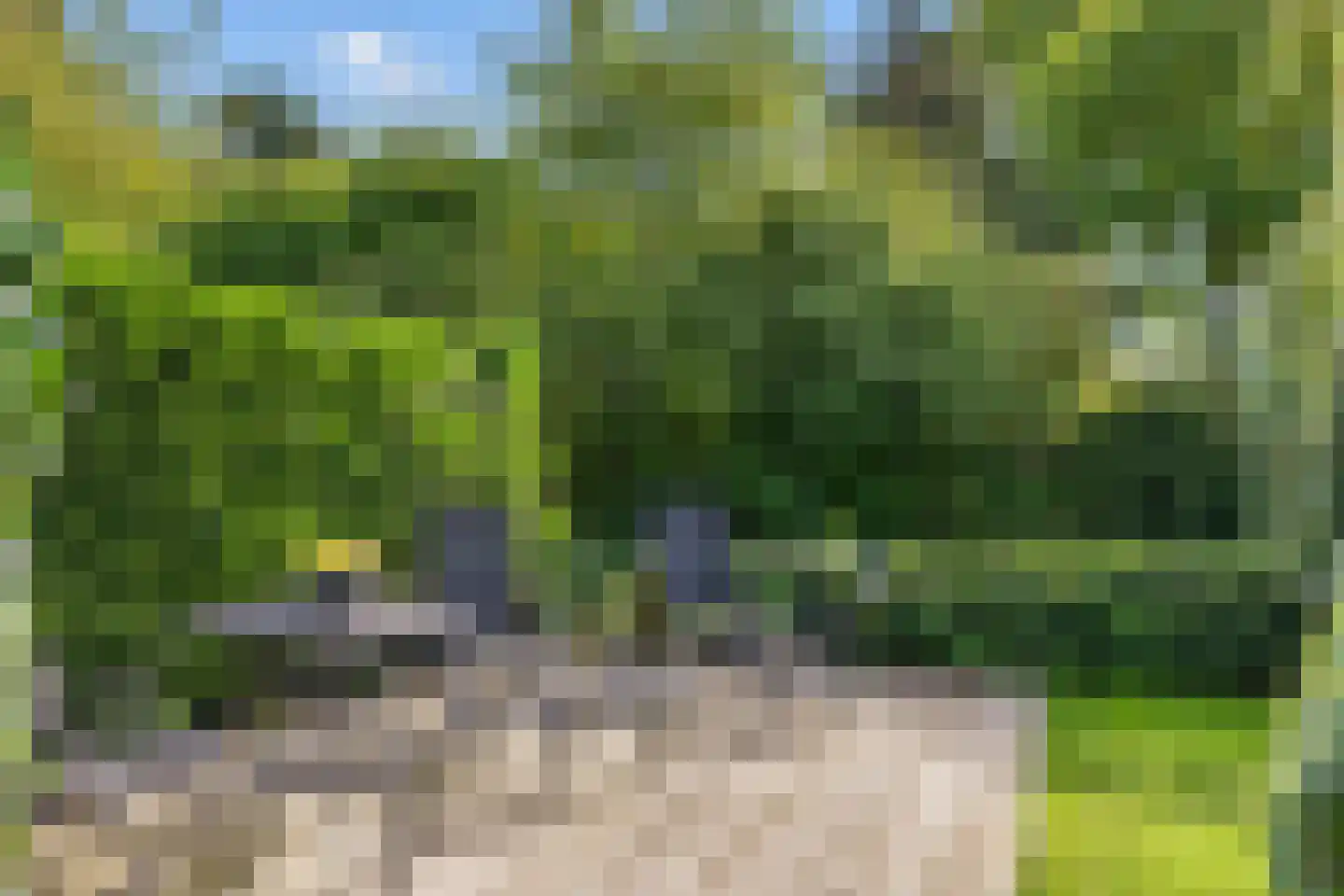 Zalm 54 Ridderkerk thumbnail 57