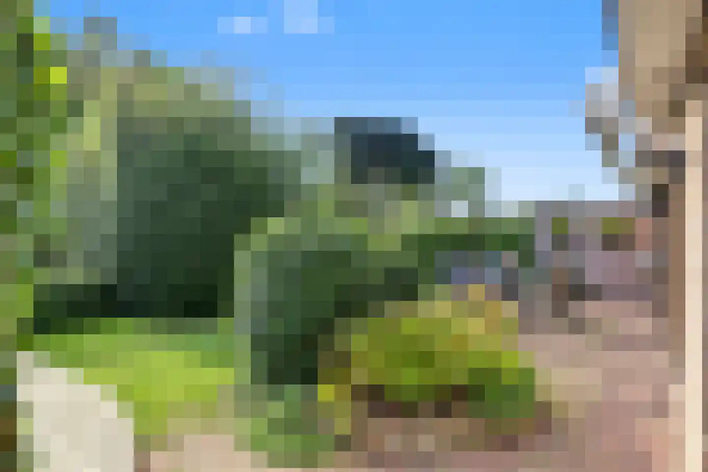 Zalm 54 Ridderkerk thumbnail 58