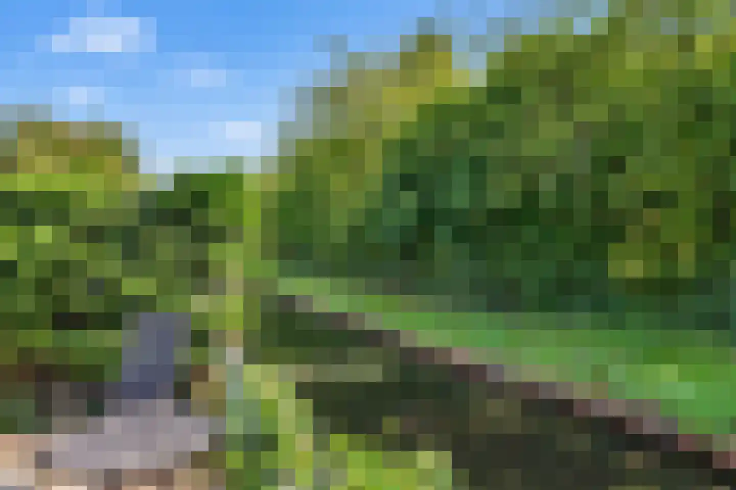 Zalm 54 Ridderkerk thumbnail 59