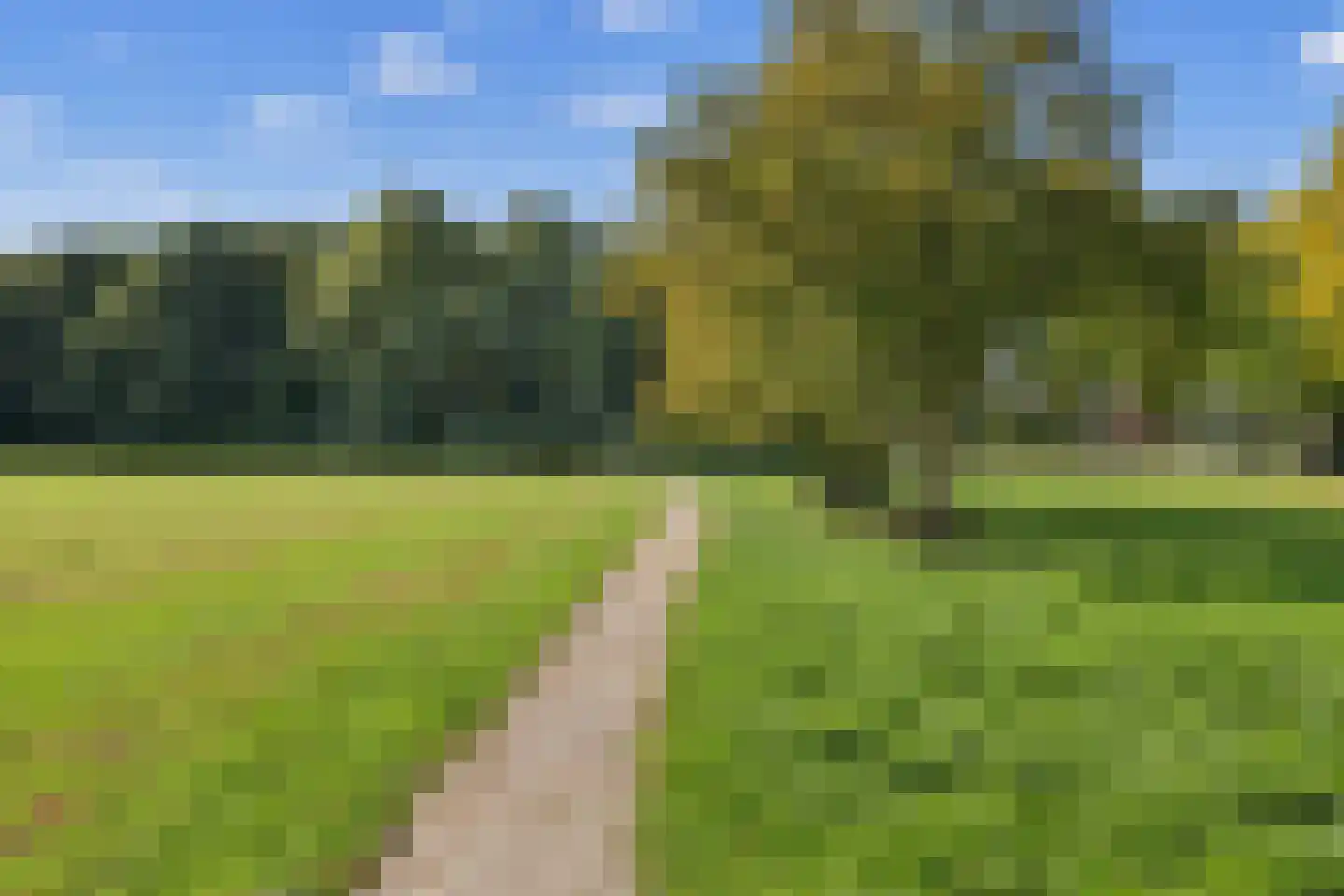 Zalm 54 Ridderkerk thumbnail 62