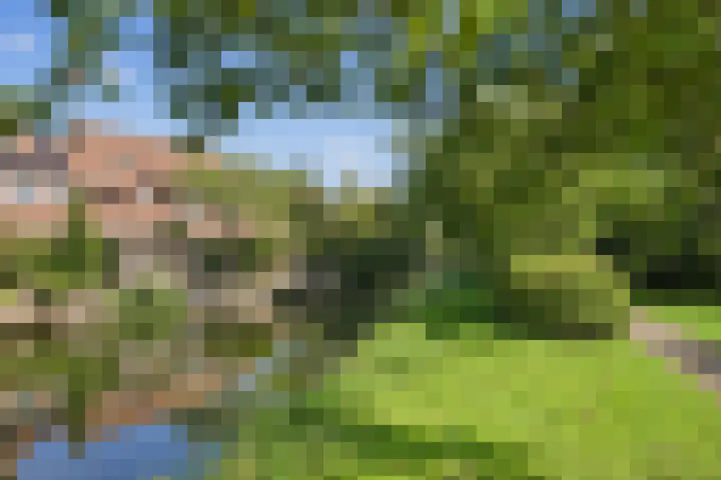 Zalm 54 Ridderkerk thumbnail 63