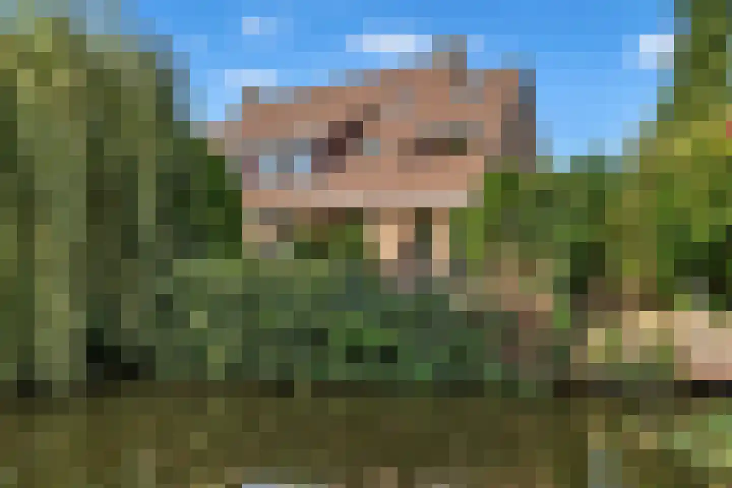 Zalm 54 Ridderkerk thumbnail 66