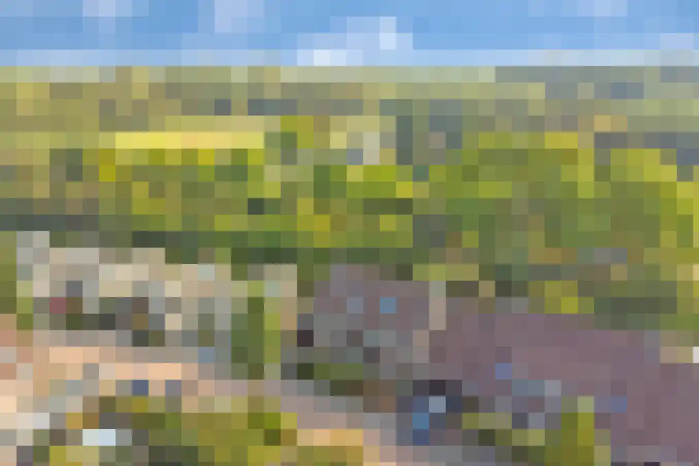 Zalm 54 Ridderkerk thumbnail 68