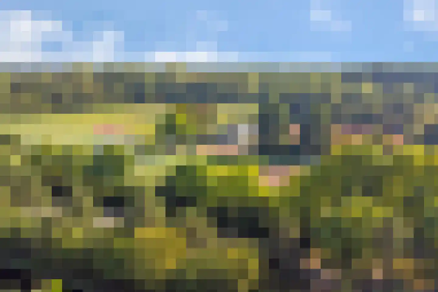 Zalm 54 Ridderkerk thumbnail 69