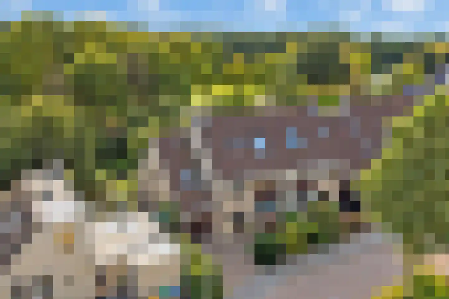 Zalm 54 Ridderkerk thumbnail 73