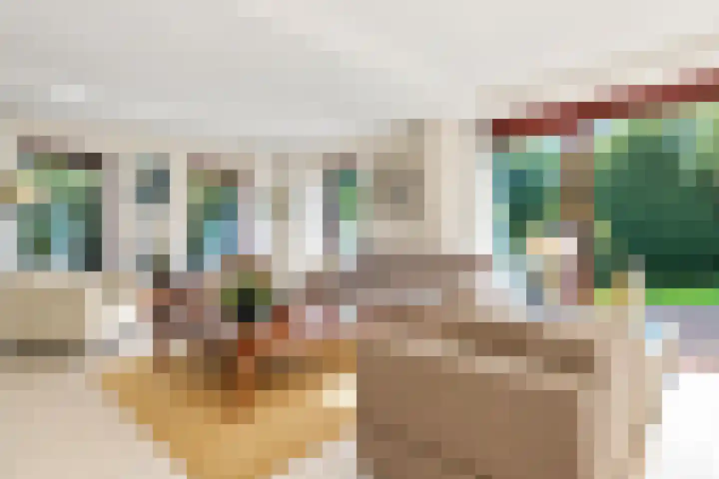 Zalm 54 Ridderkerk thumbnail 8