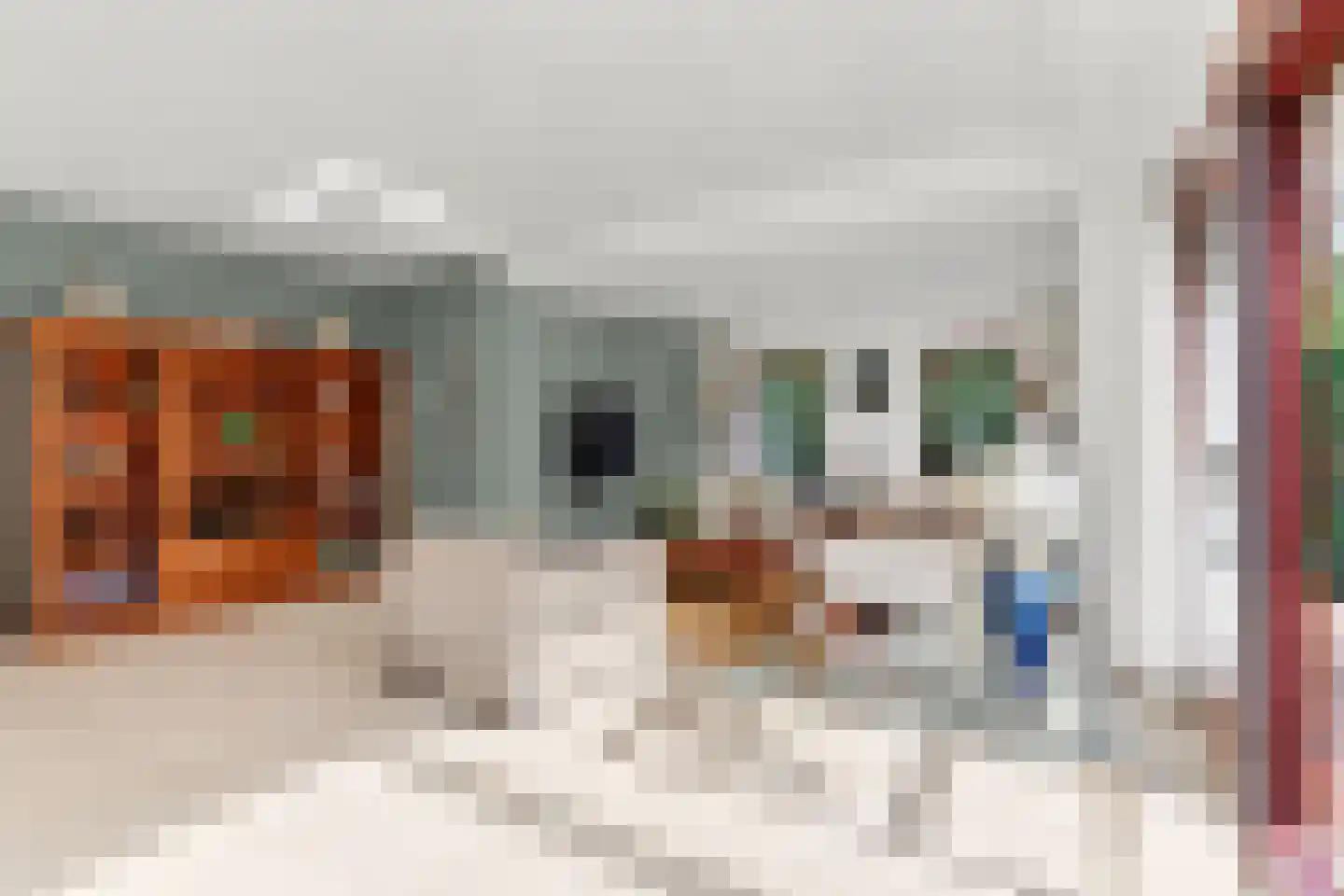 Zalm 54 Ridderkerk thumbnail 9