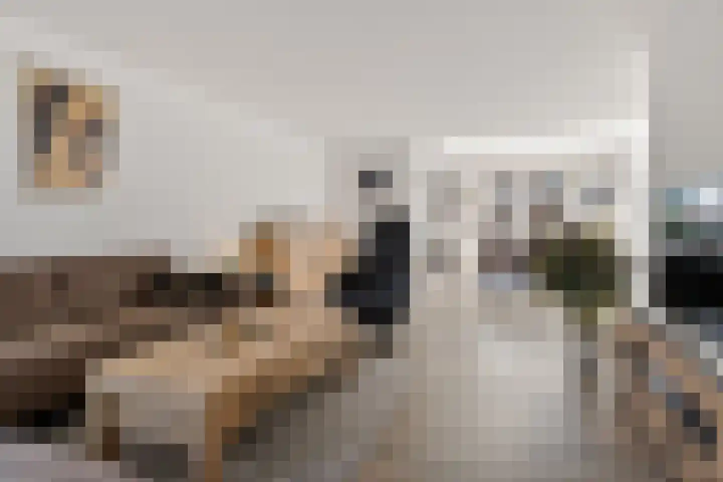 Zalm 6 Oss thumbnail 10