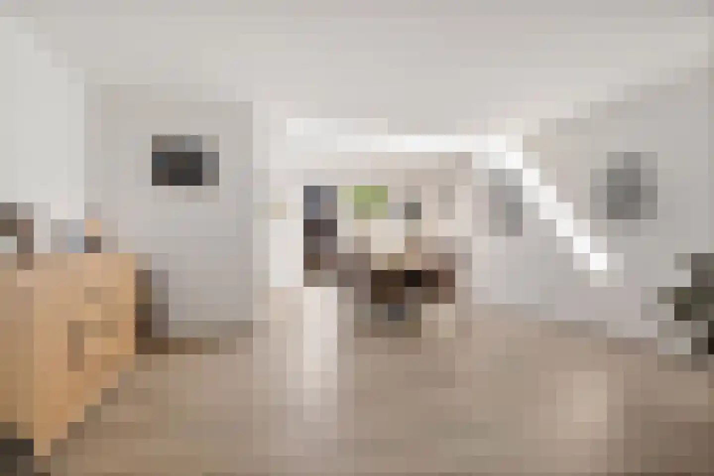 Zalm 6 Oss thumbnail 11