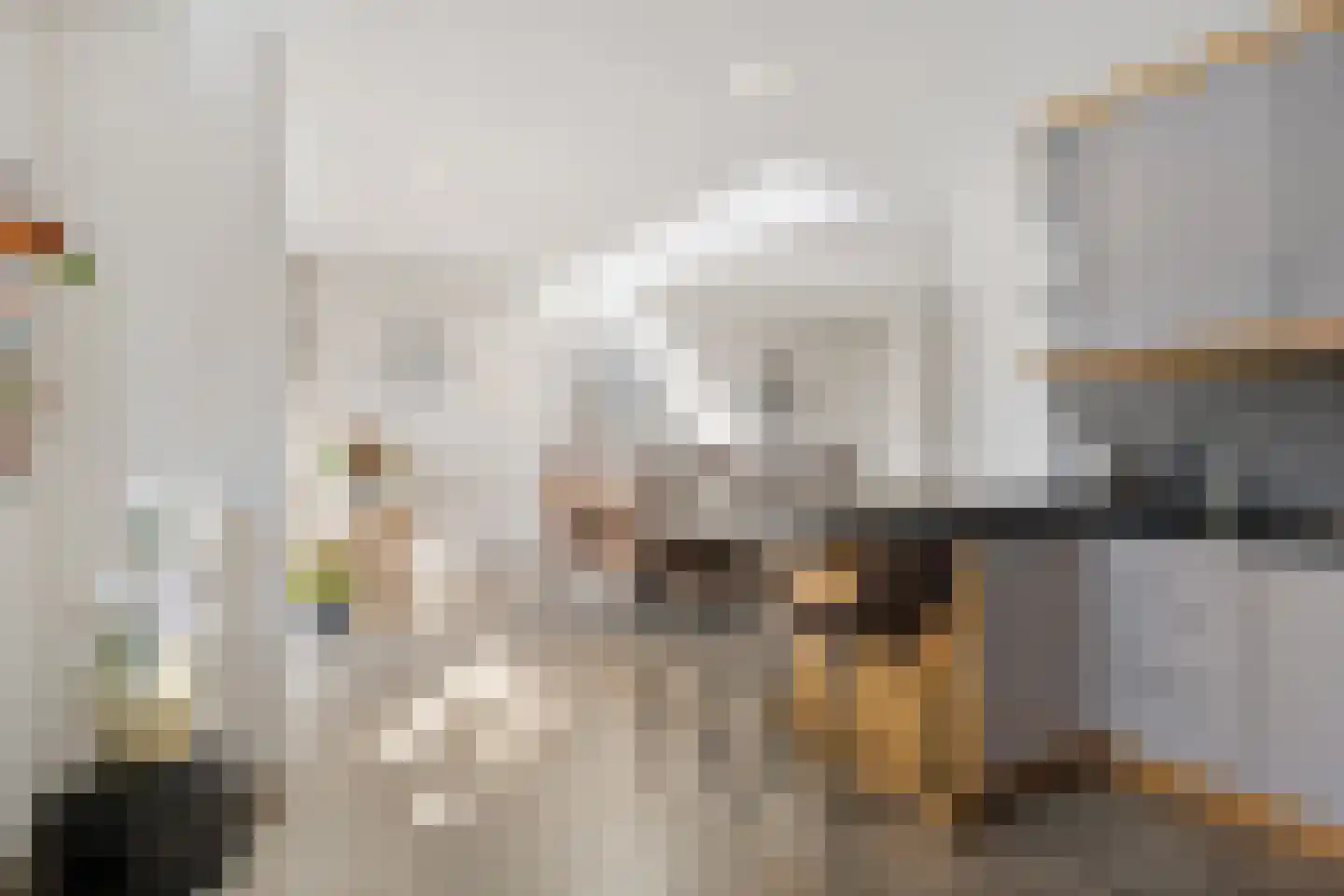 Zalm 6 Oss thumbnail 17