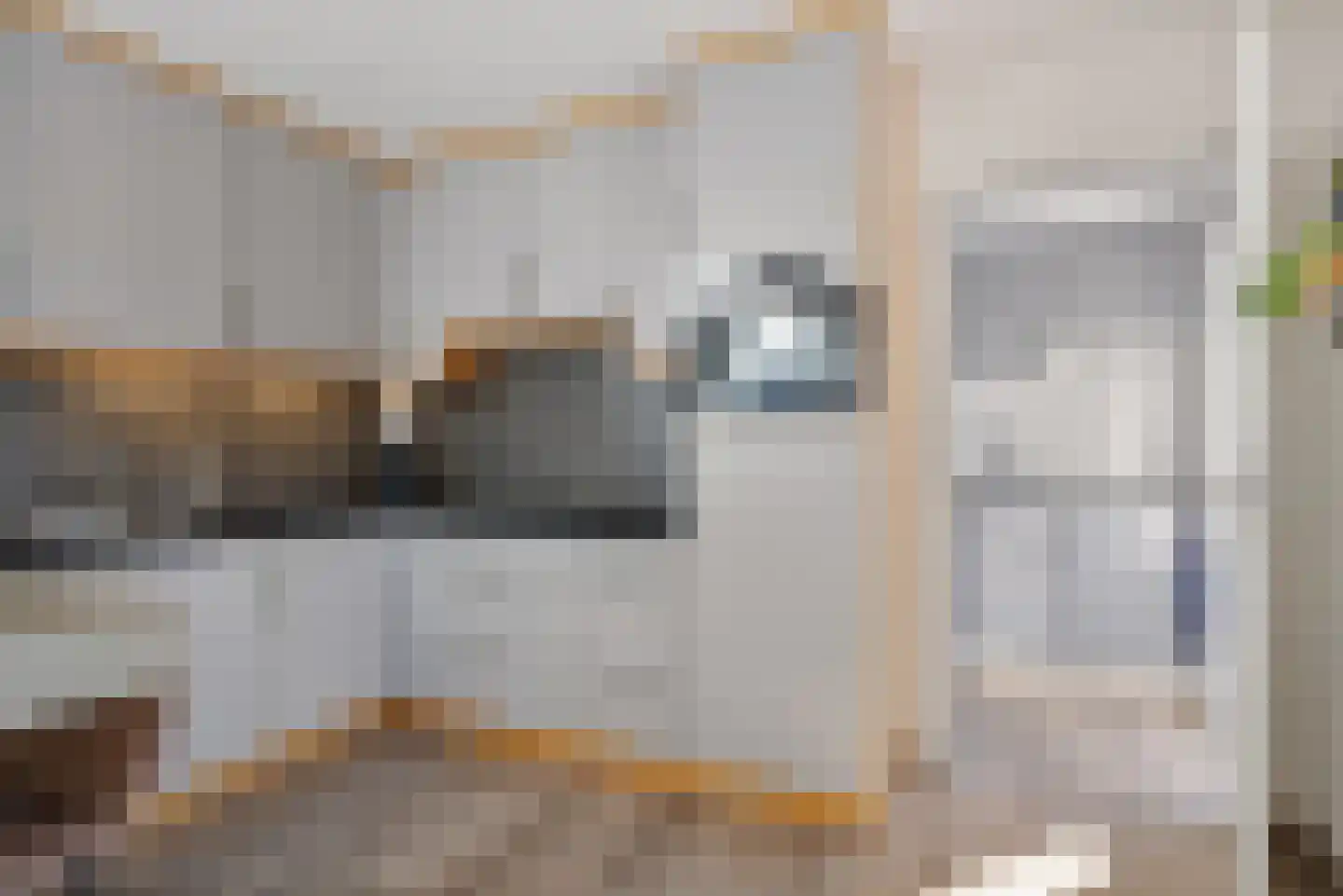 Zalm 6 Oss thumbnail 18