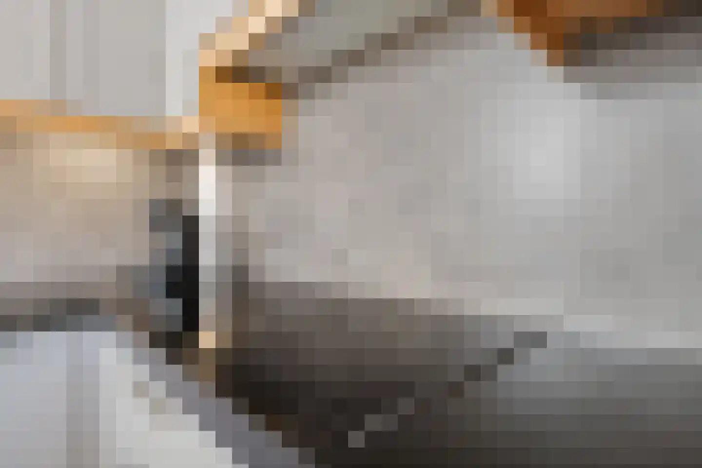 Zalm 6 Oss thumbnail 20