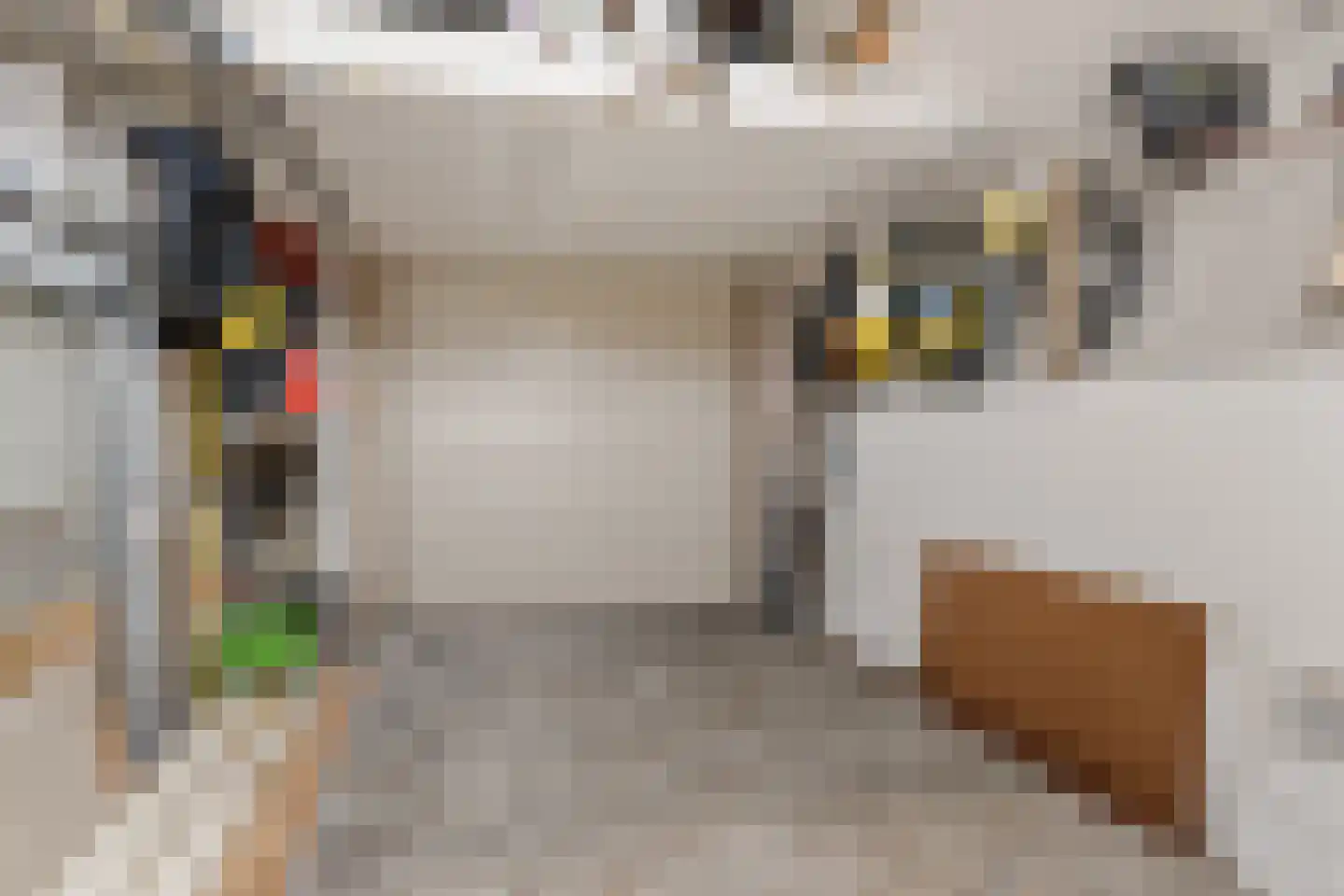 Zalm 6 Oss thumbnail 23