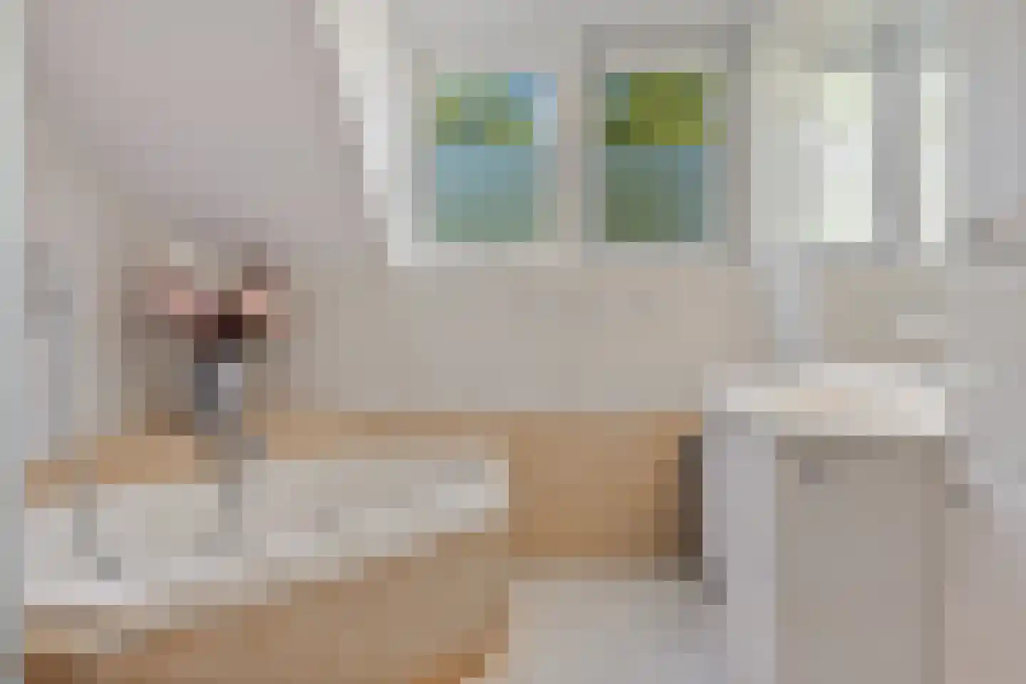Zalm 6 Oss thumbnail 33