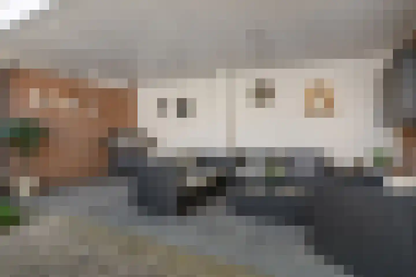 Zalm 6 Oss thumbnail 41