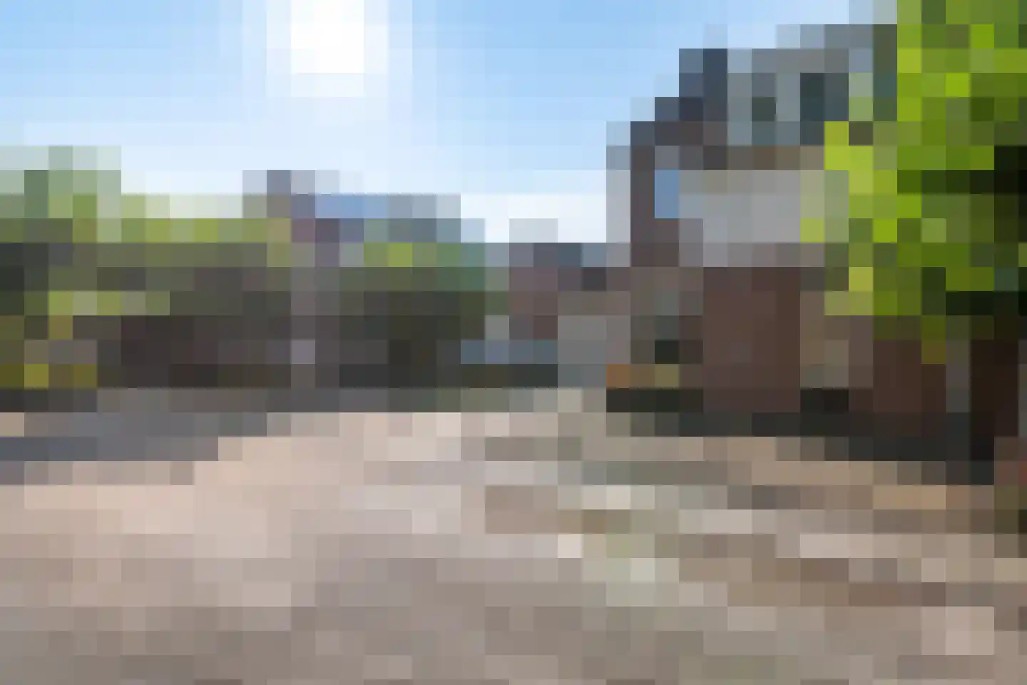 Zalm 6 Oss thumbnail 45