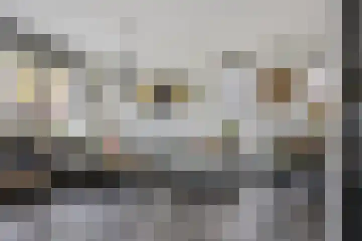 Zalm 60 Hendrik-Ido-Ambacht thumbnail 10
