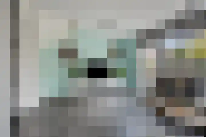 Zalm 60 Hendrik-Ido-Ambacht thumbnail 11