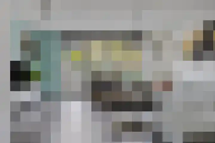 Zalm 60 Hendrik-Ido-Ambacht thumbnail 12