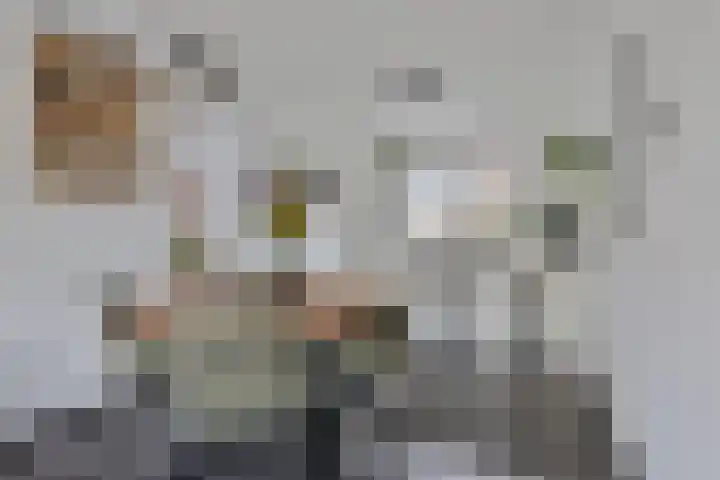 Zalm 60 Hendrik-Ido-Ambacht thumbnail 13