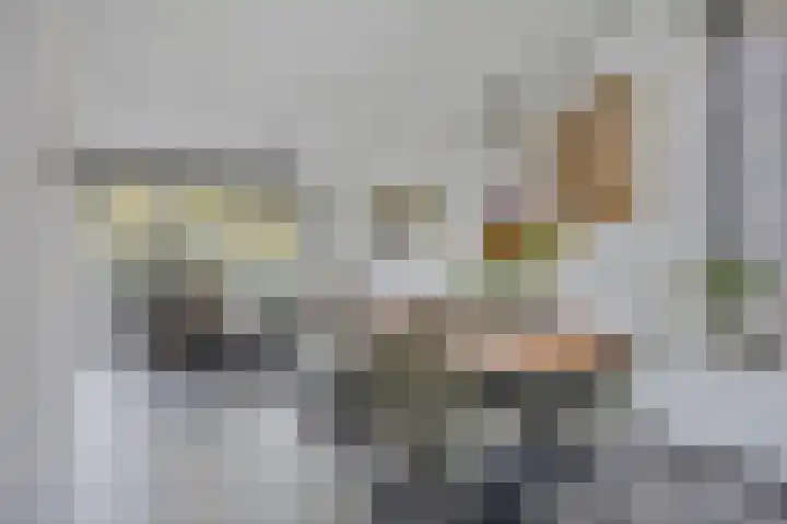 Zalm 60 Hendrik-Ido-Ambacht thumbnail 14