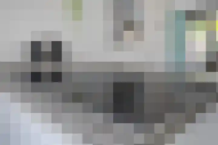 Zalm 60 Hendrik-Ido-Ambacht thumbnail 16