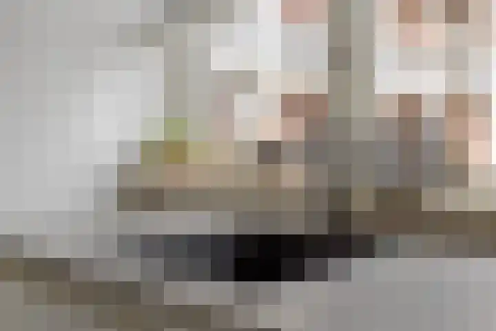 Zalm 60 Hendrik-Ido-Ambacht thumbnail 17