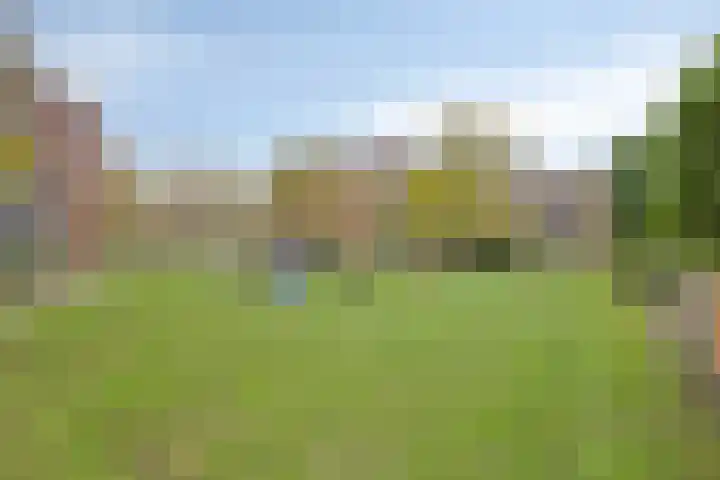Zalm 60 Hendrik-Ido-Ambacht thumbnail 30