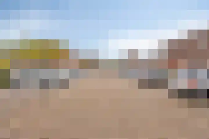 Zalm 60 Hendrik-Ido-Ambacht thumbnail 32