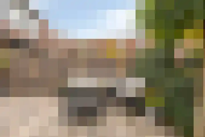 Zalm 60 Hendrik-Ido-Ambacht thumbnail 4