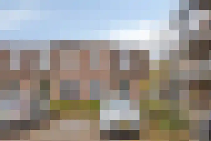 Zalm 60 Hendrik-Ido-Ambacht thumbnail 6