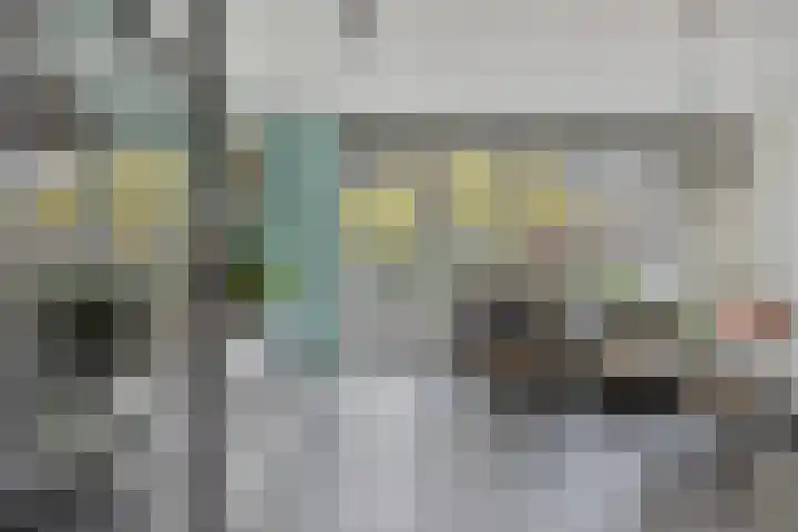 Zalm 60 Hendrik-Ido-Ambacht thumbnail 9