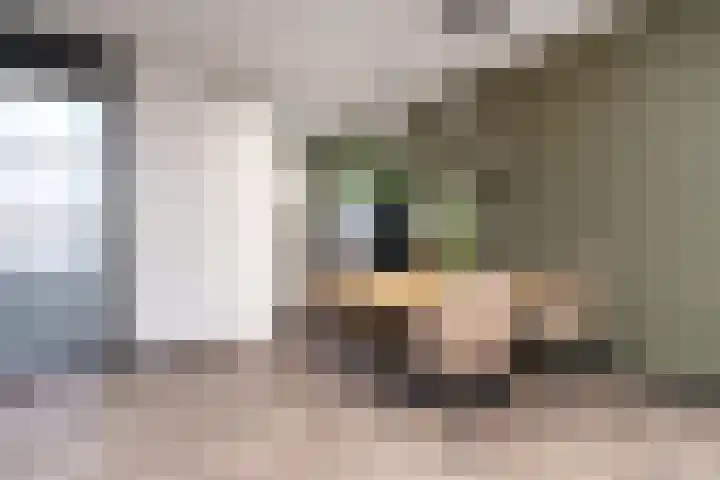 Zalm 7 Hendrik-Ido-Ambacht thumbnail 10