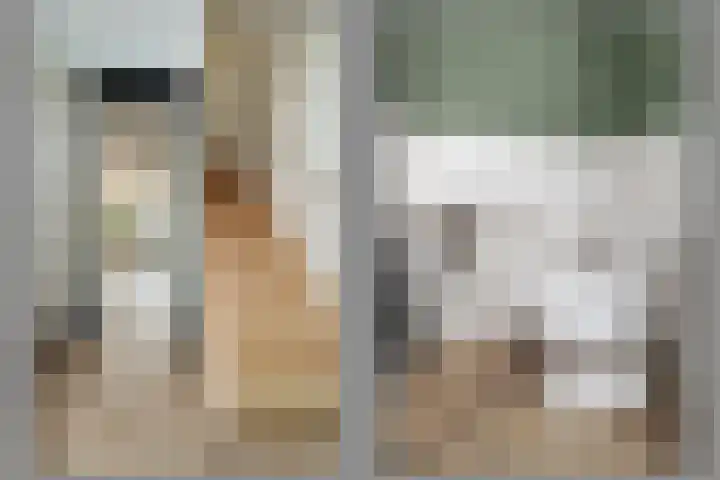 Zalm 7 Hendrik-Ido-Ambacht thumbnail 13