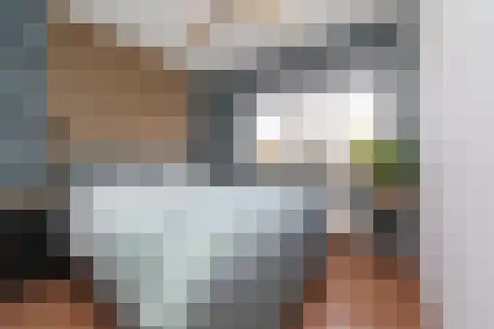 Zalm 7 Hendrik-Ido-Ambacht thumbnail 14