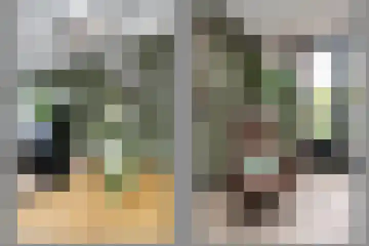Zalm 7 Hendrik-Ido-Ambacht thumbnail 26