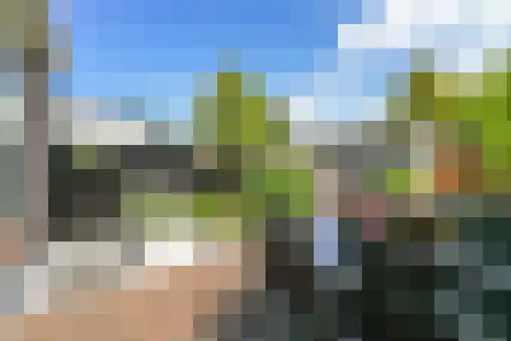 Zalm 7 Hendrik-Ido-Ambacht thumbnail 27