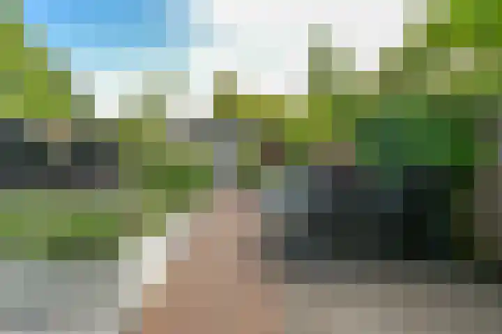 Zalm 7 Hendrik-Ido-Ambacht thumbnail 28