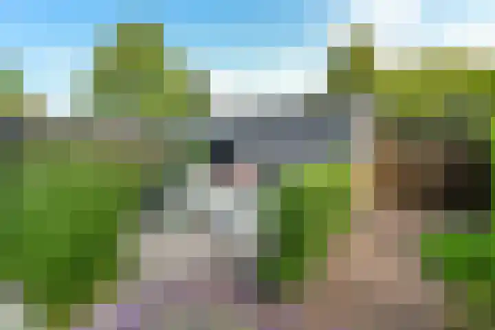 Zalm 7 Hendrik-Ido-Ambacht thumbnail 29