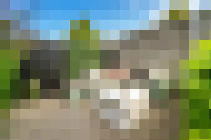 Zalm 7 Hendrik-Ido-Ambacht thumbnail 30