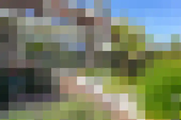 Zalm 7 Hendrik-Ido-Ambacht thumbnail 33