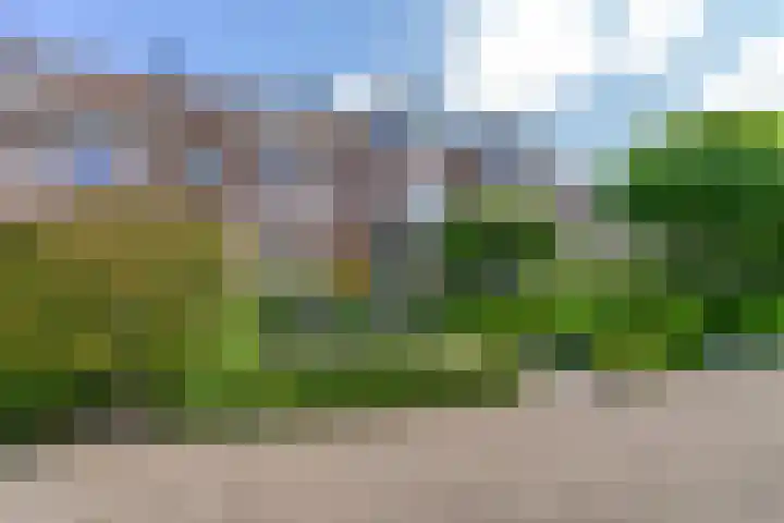 Zalm 7 Hendrik-Ido-Ambacht thumbnail 35
