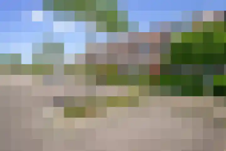 Zalm 7 Hendrik-Ido-Ambacht thumbnail 37