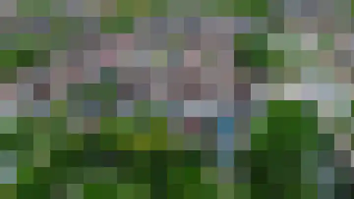 Zalm 7 Hendrik-Ido-Ambacht thumbnail 39