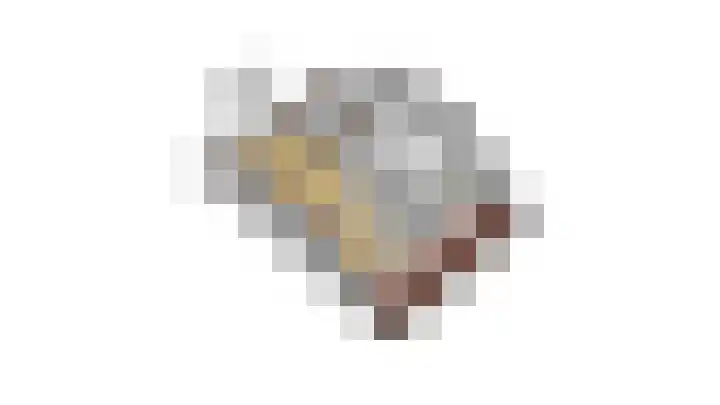 Zalm 7 Hendrik-Ido-Ambacht thumbnail 46