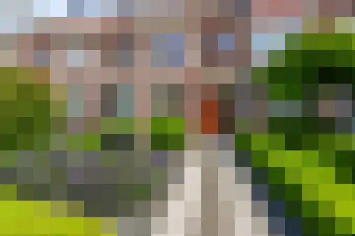 Zalm 7 Hendrik-Ido-Ambacht thumbnail 48