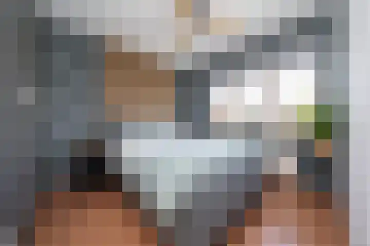 Zalm 7 Hendrik-Ido-Ambacht thumbnail 5