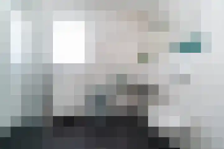 Zalm 7 Hendrik-Ido-Ambacht thumbnail 6